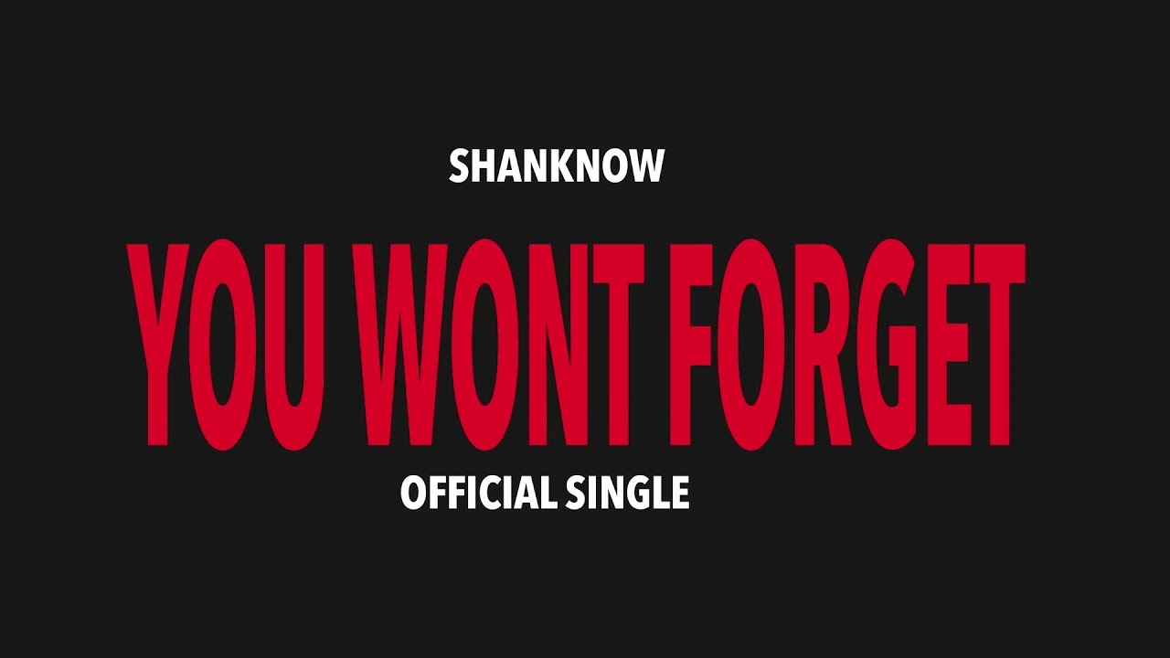 Shanknow You Wont Forget (official Audio)