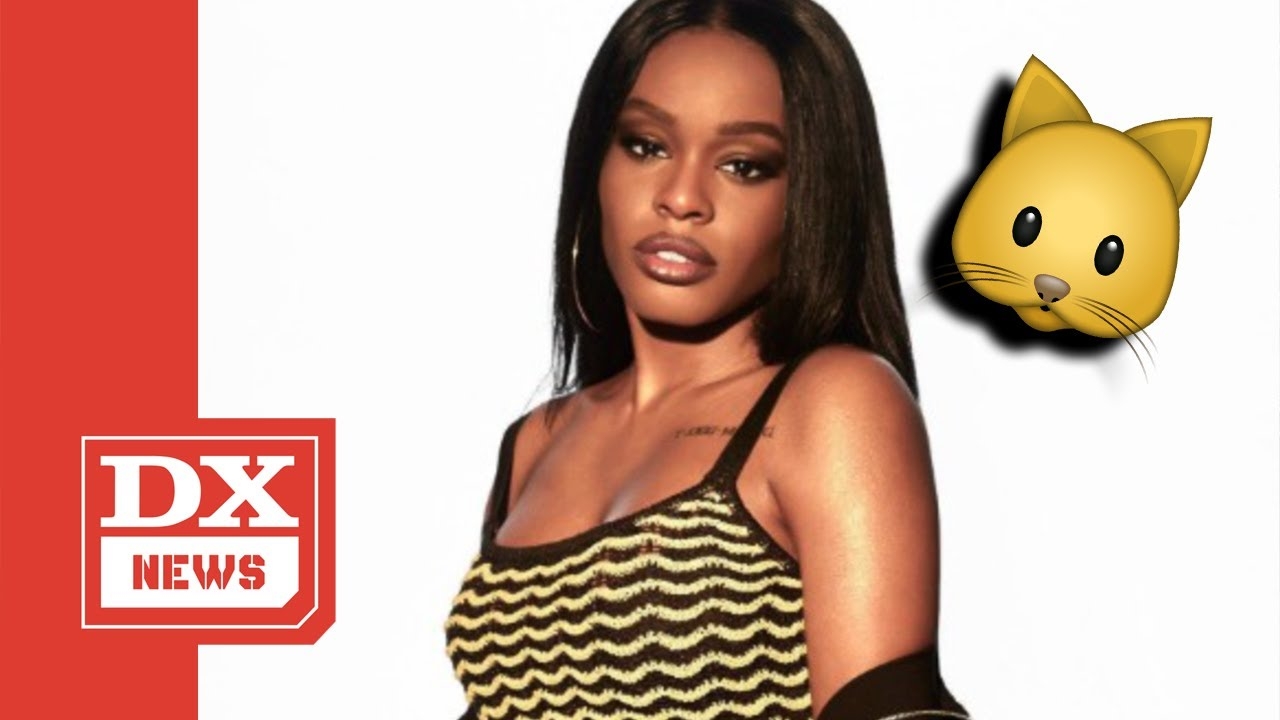 Azealia Banks Has An Excuse For Cooking Her Dead Cat And Hanging Up His Skull