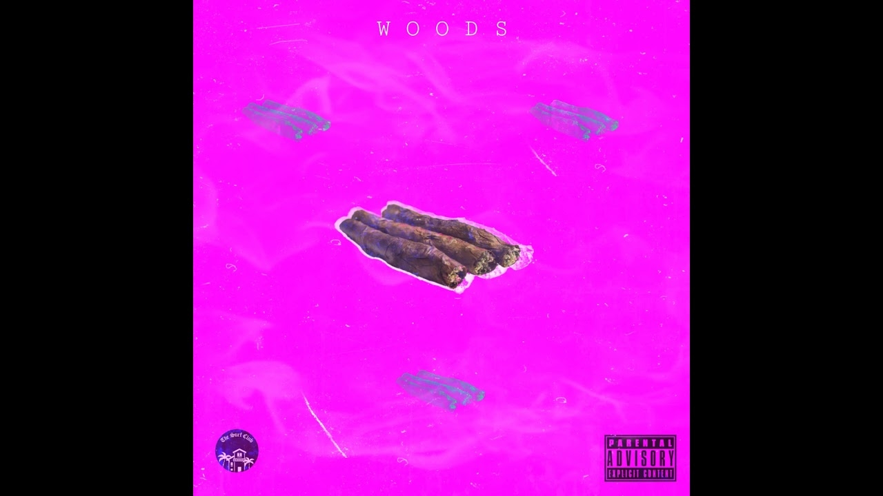 woods 9k ft dezo, tay wave (official audio)