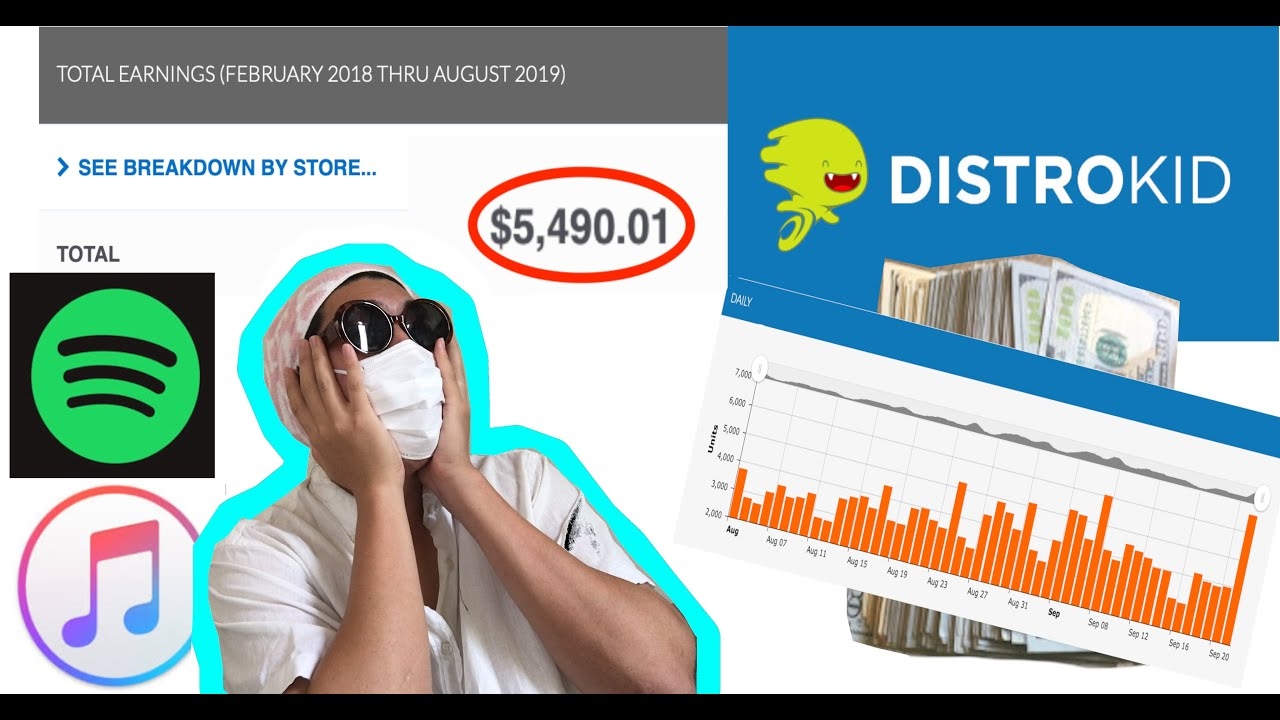 I Made $5,490 On Distrokid!