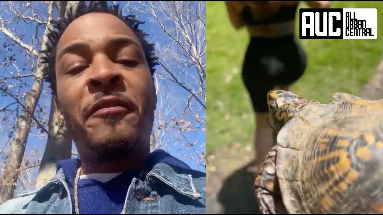 T.I. Catches Tiny Lackin Chases Her Around House With Turtle