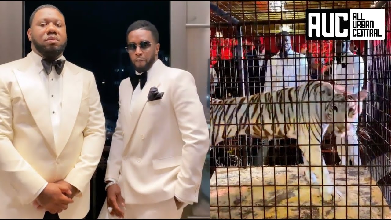 Diddy Buys Migos CEO Pierre A White Tiger For His Birthday