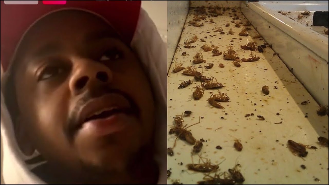 BabyFace Ray Admits Having So Many Roaches That He Named Them