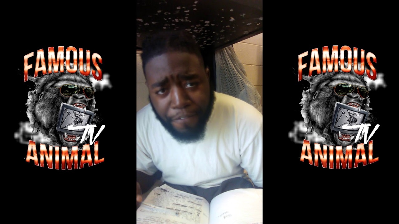 5Star Famous And Thorough Grizzly Coming Home Soon