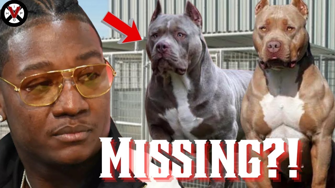 Young Joc ACCUSED Of The WORST Kind OF Violation!
