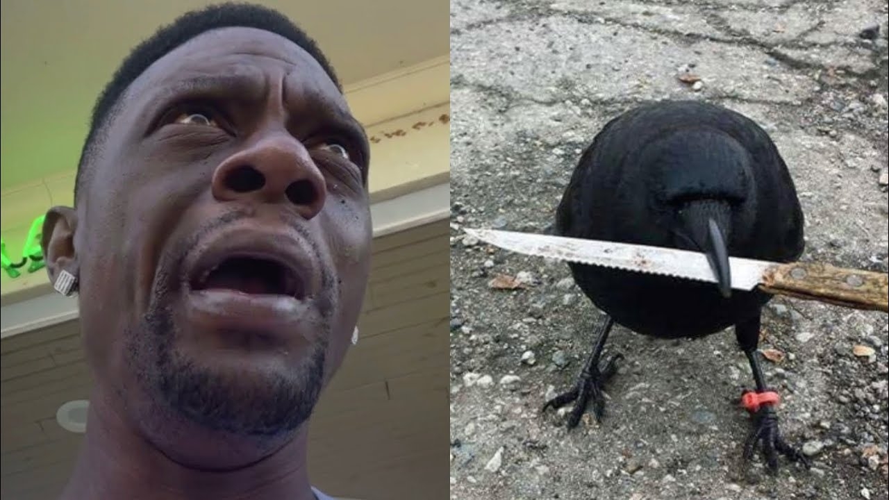 Boosie FURIOUS After Angry Birds Violate His Mansion