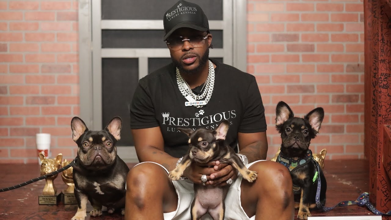 Jean D’eau Speaks On Leaving The Streets, Ralo, Breeding Frenchie’s “I Sold My First Puppy For $12k”