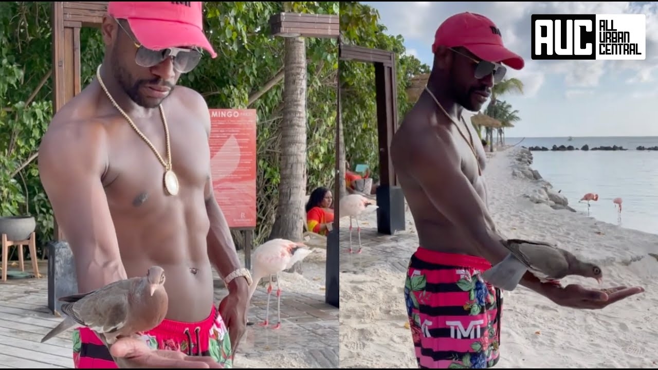 Floyd Mayweather Turns Into A Statue Feeding Birds Like The Pigeon Whisperer