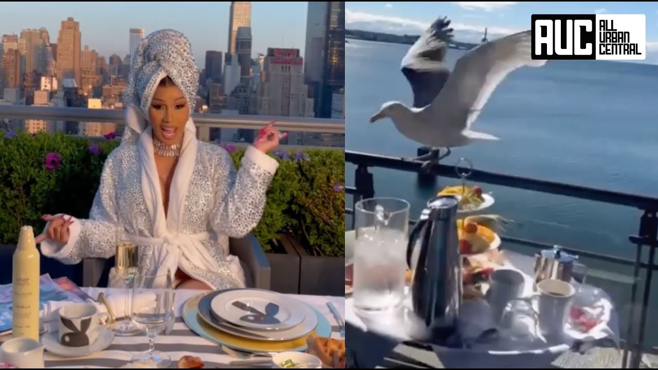 Cardi B Gets Attacked By Gull While Trying To Eat Breakfast At Resort