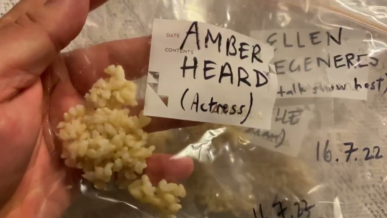 Famous People Names Rice Experiment - Johnny Depp, Amber Heard, Bill Cosby, Dave Chapelle, Tom Brady