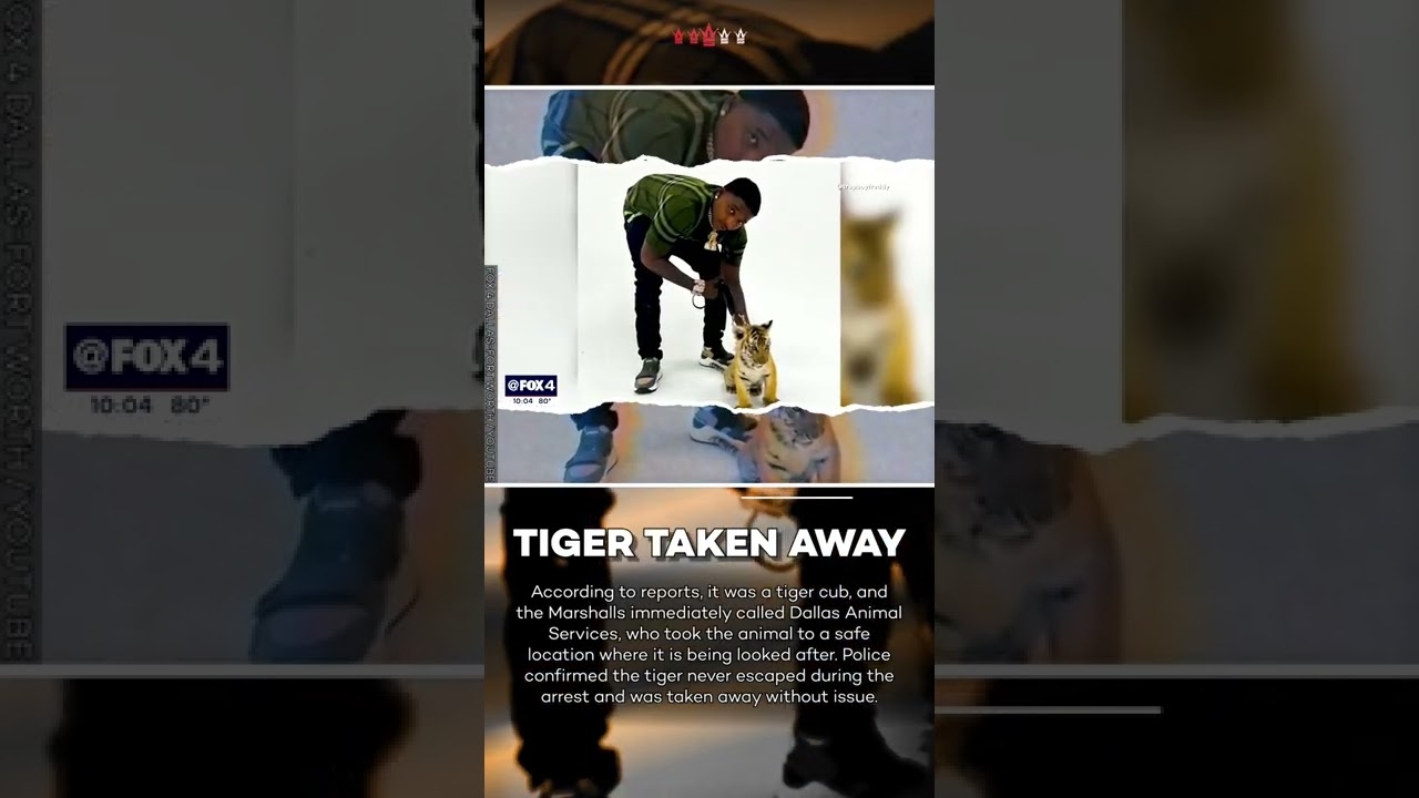 Police Arrest TrapBoy Freddy & Find A Tiger In His House! #shorts