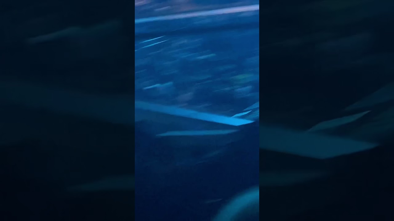 Jade Cargill Wins TBS Title (Live Crowd Reaction AEW Dynamite, Prudential Center NJ, 1/5/22)