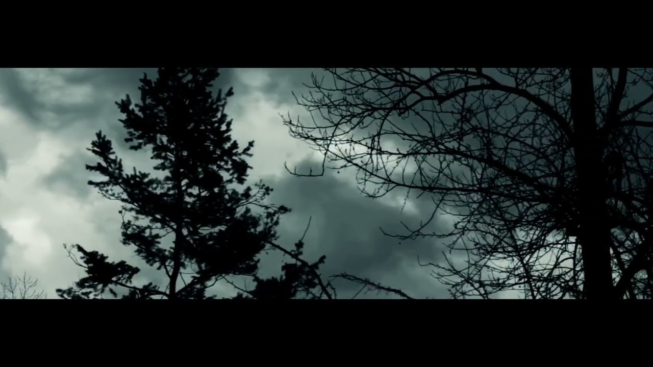 I Miss You Official Video
