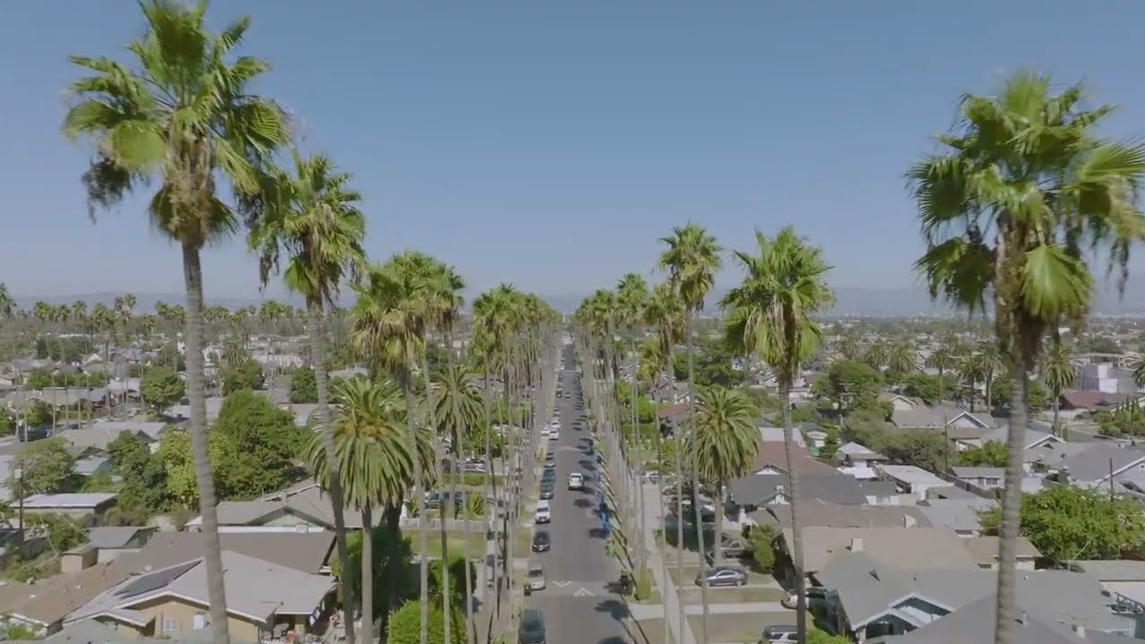 Snoop Dogg & DJ Drama ft. Juicy J - Been Smokin (Official Visualizer)