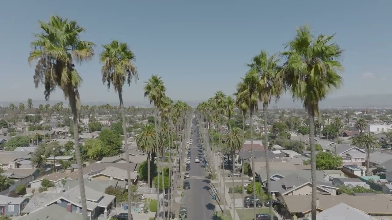 Snoop Dogg & DJ Drama ft. October London - Lime and Squeeze (Official Visualizer)