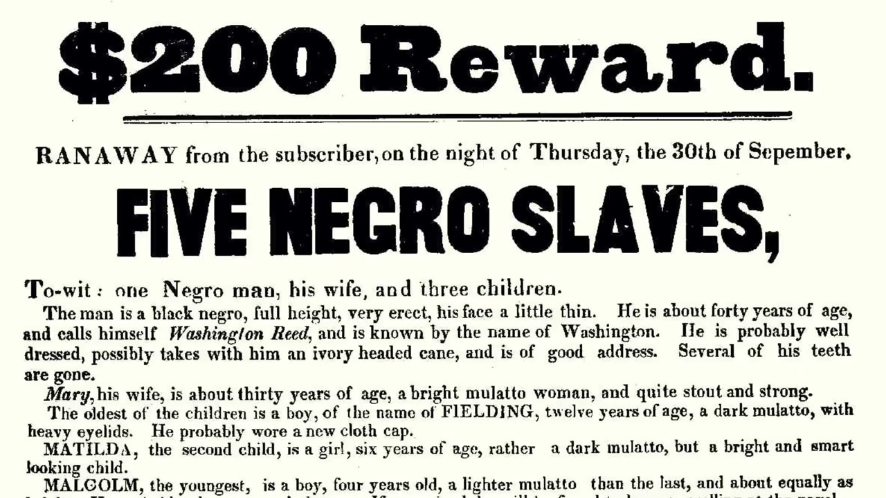 HEbrew to negroes: wake up black America documentary  link in comment enjoy