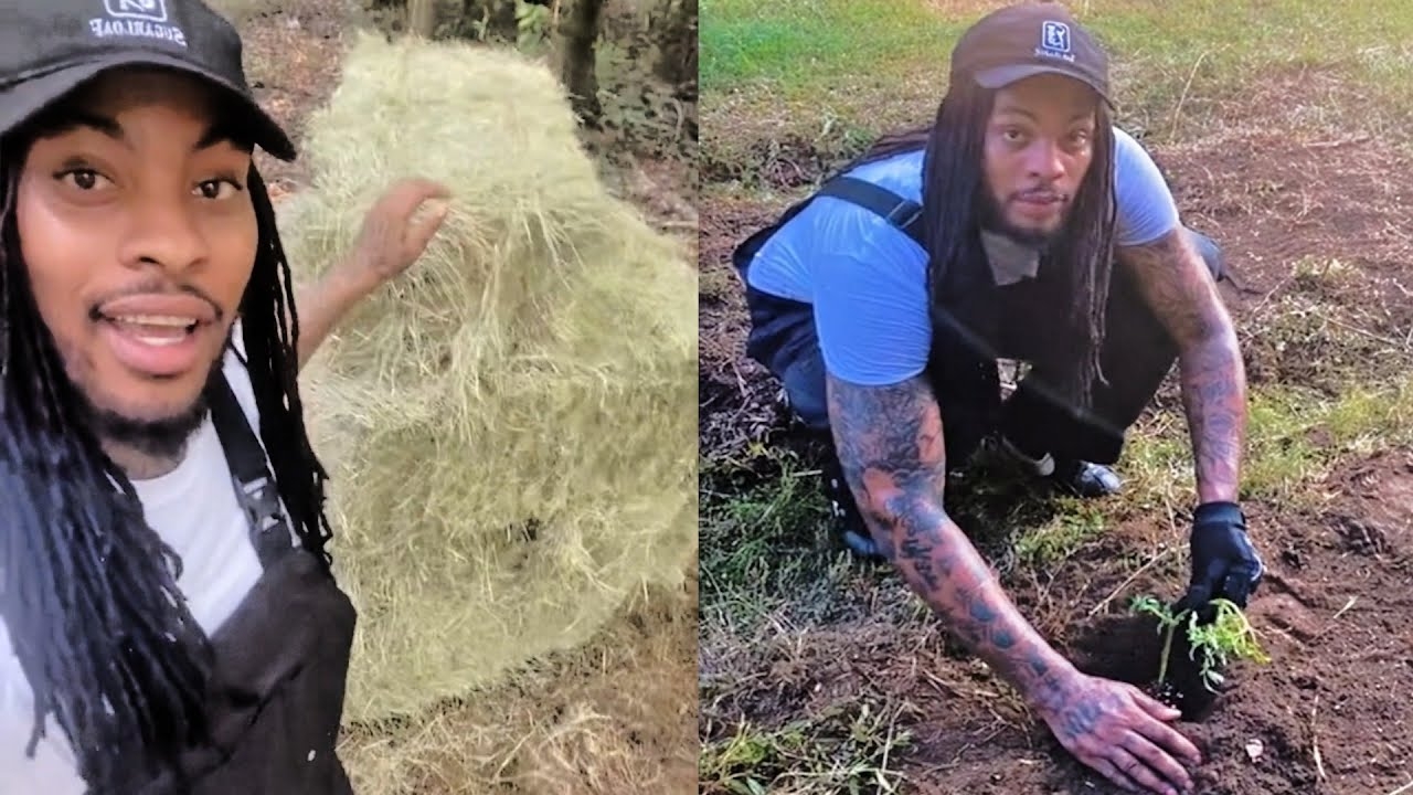 Rappers Who Quit Rap