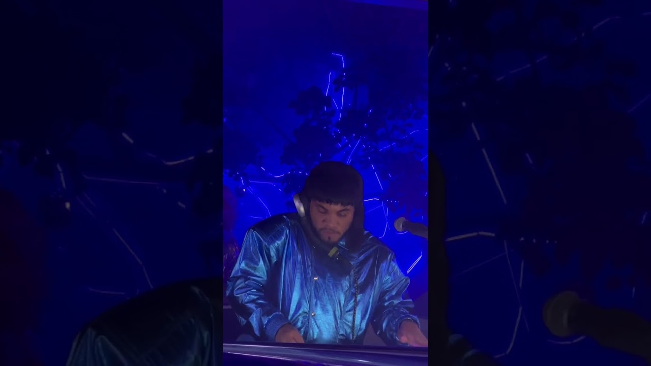 Anderson .Paak Had The Crowd Going With Nelly “Hot In Herre”