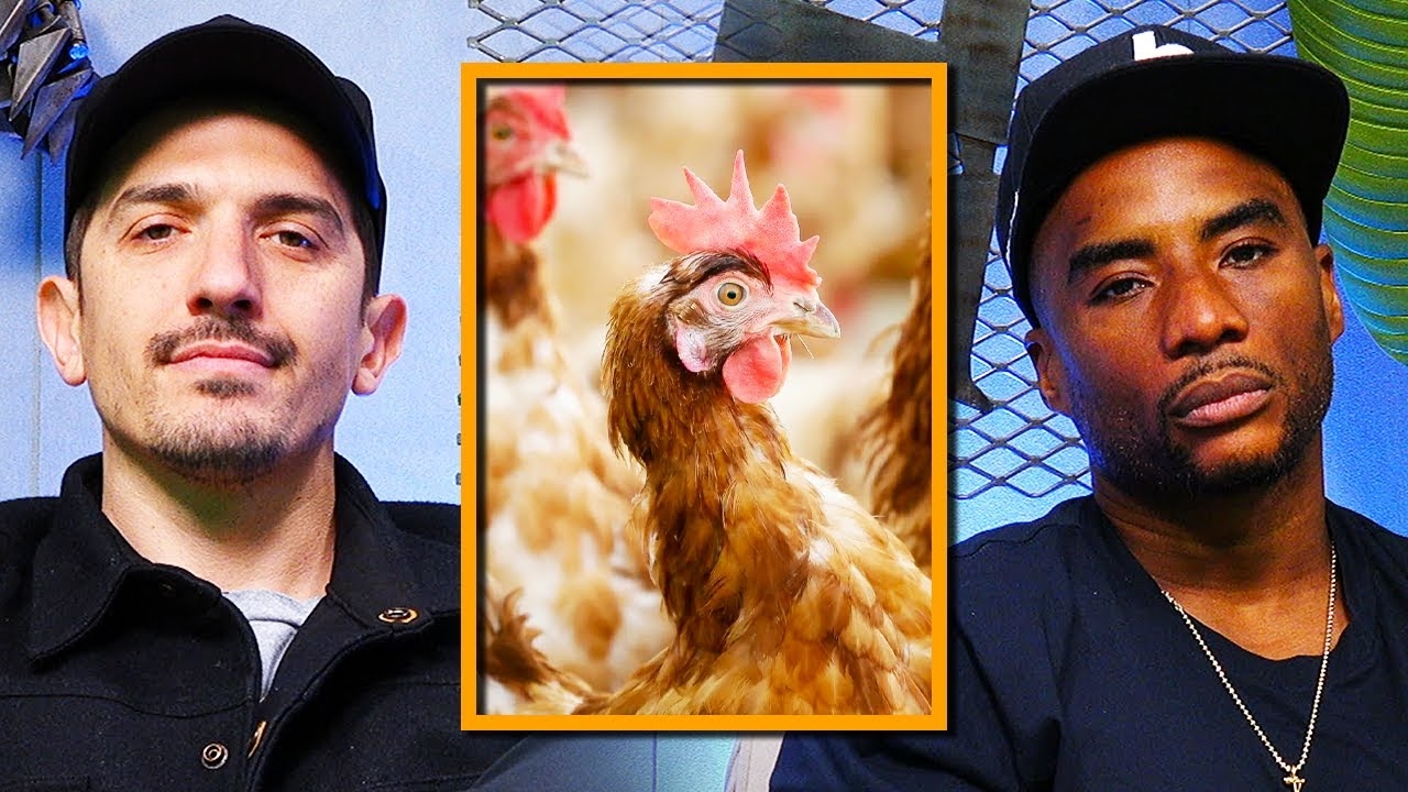 Is the Chicken Shortage related to the Vaccine? Wax thinks so!