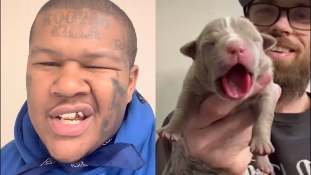 C Mac Meets Locc'd Out Crip Pitbull Puppy Nifty Fifty