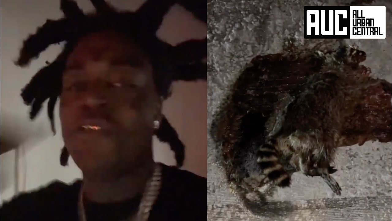 Kodak Black Goes Off After Stepping On A Dead Possum And Running Out Of Gas On Freeway