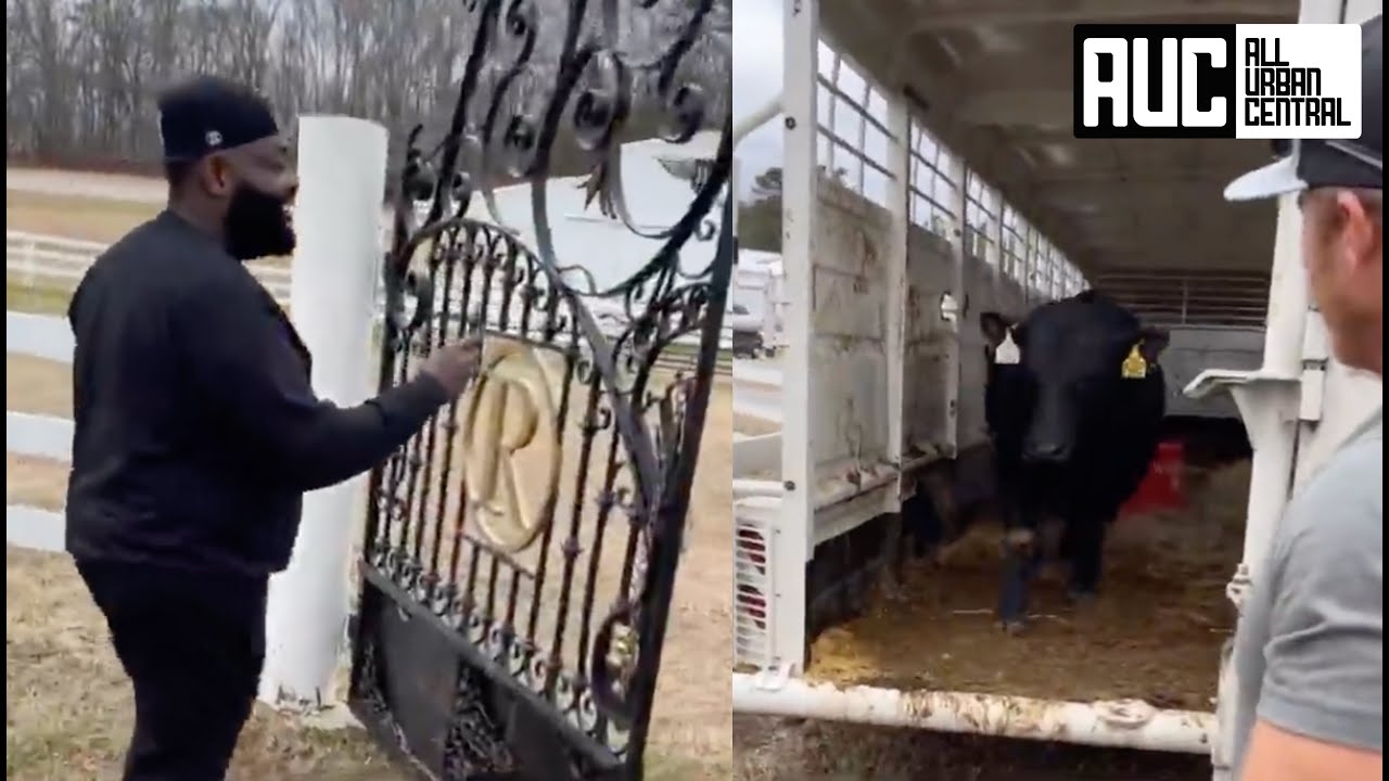 "Boss Angus" Rick Ross Gets His First Cow And Is So Happy He Starts Screaming