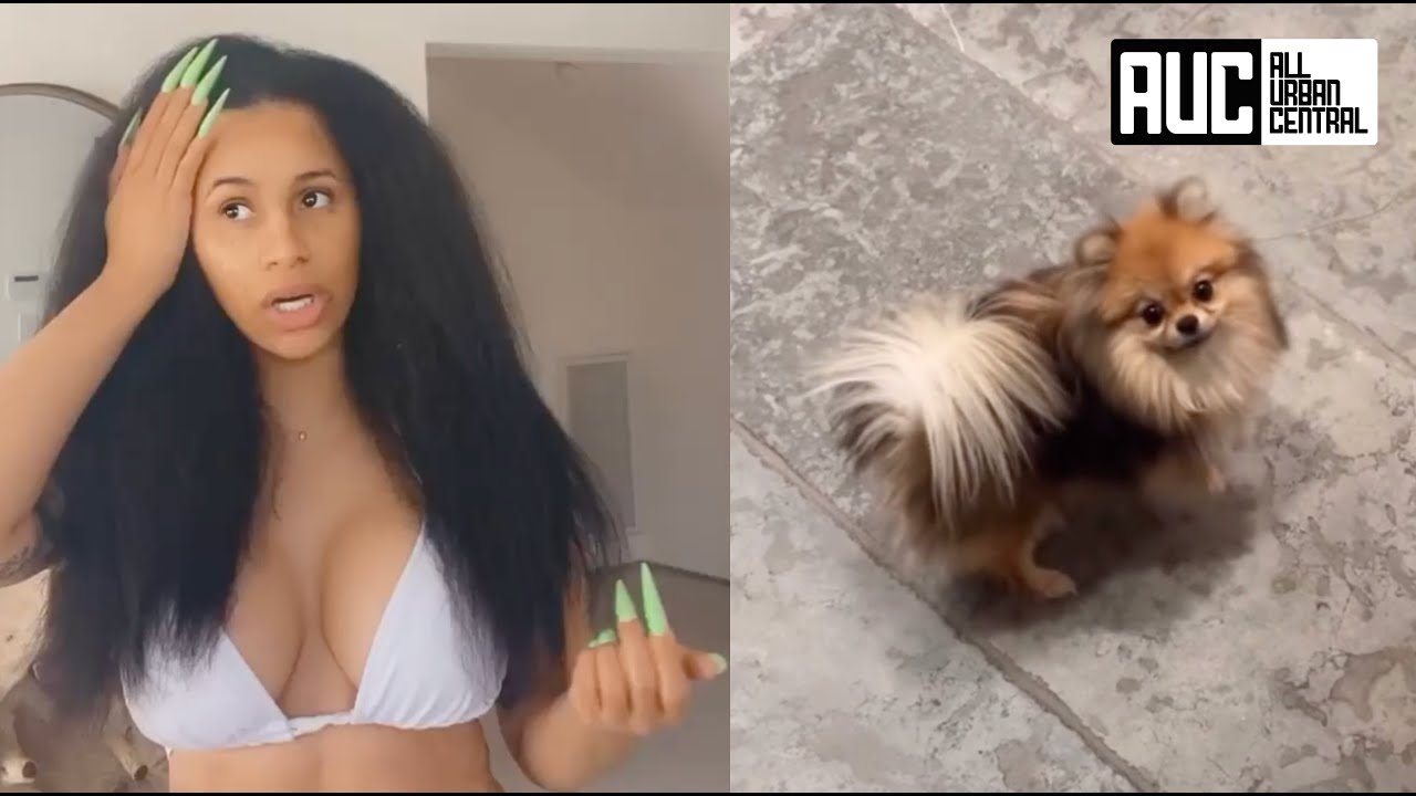 Cardi B Thinks Her Dog Is Seeing Ghost