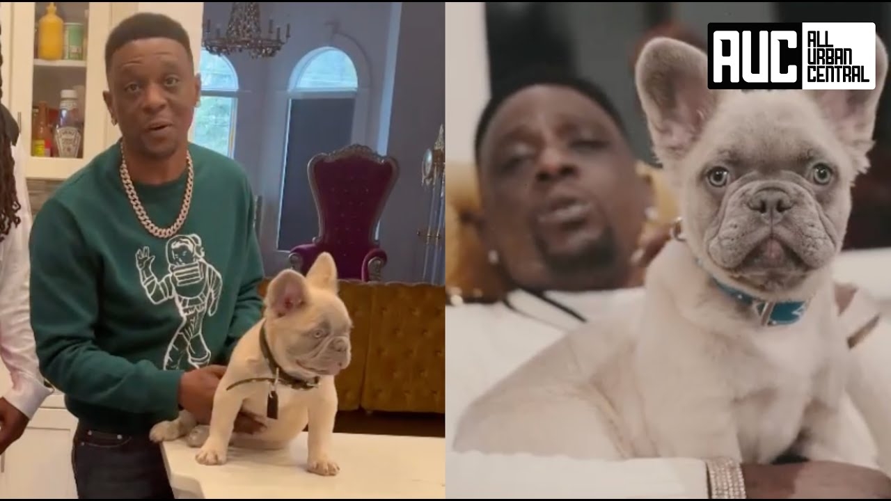 "I'm The Fluffy King" Boosie Spends $50K On A Fluffy French Bull Dog