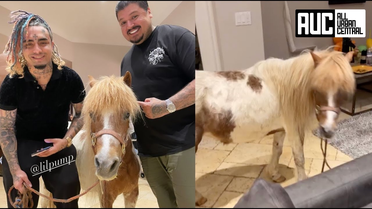 Lil Pump Buys A Pony To Ride Around His Mansion