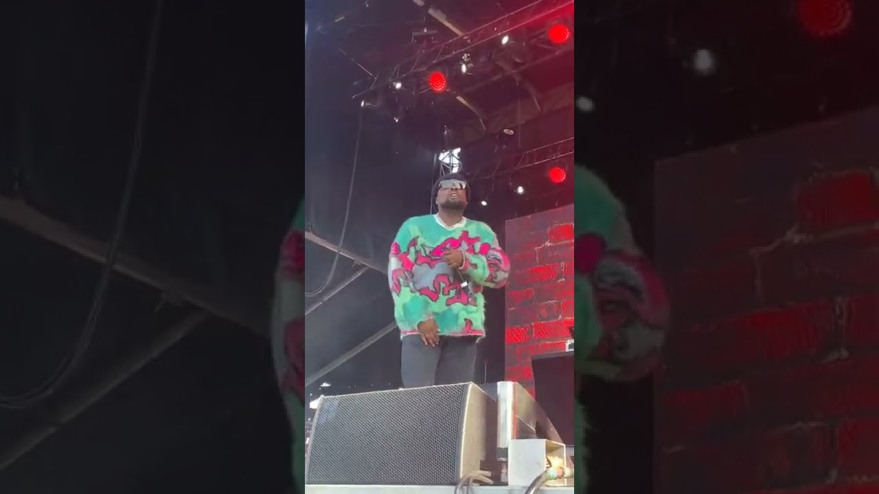 Wale Had The Crowd Going Crazy For "Bed" Live