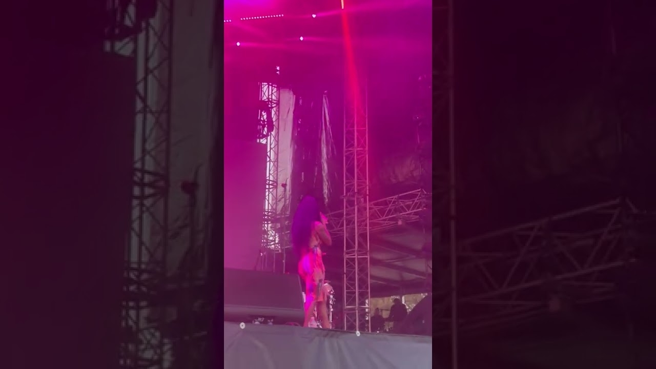 The Crowd Showed Ari Lennox A LOT of Love At Dreamville