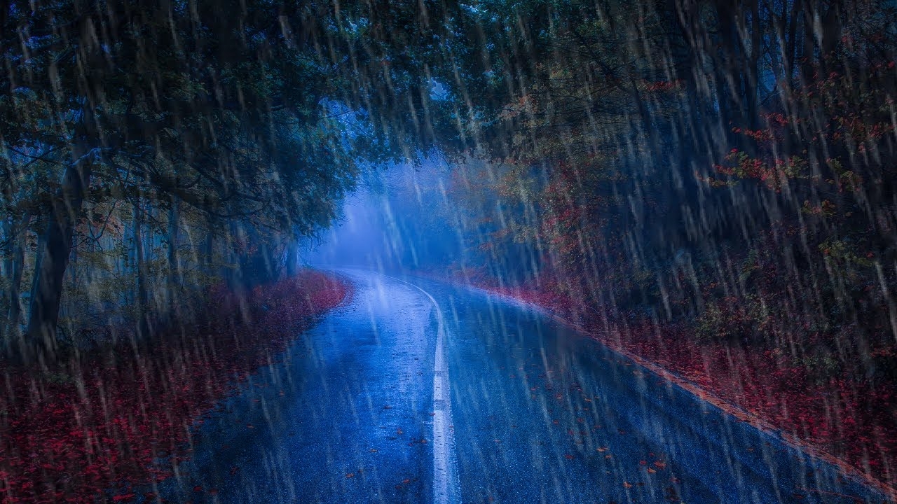 Rain noise for relaxation, meditation, sleep | Relaxing rain and thunder in the rainforest