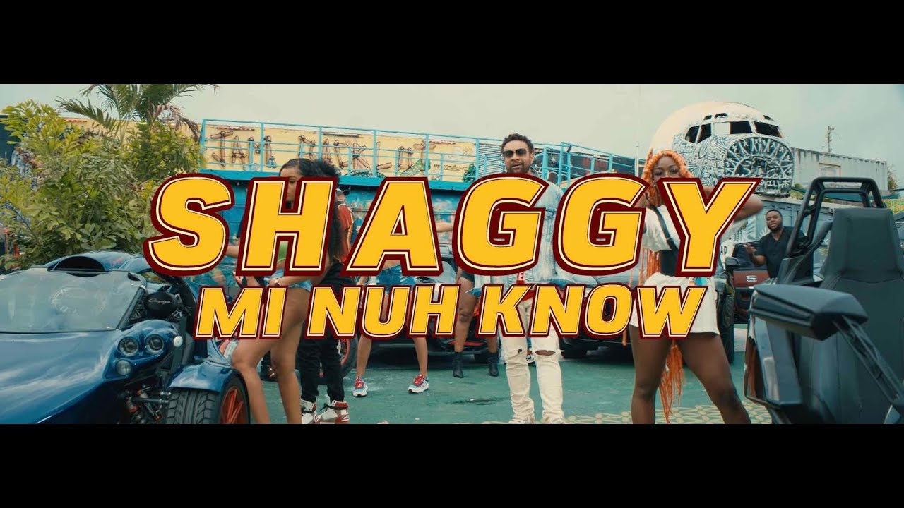 Shaggy - "Mi Nuh Know"