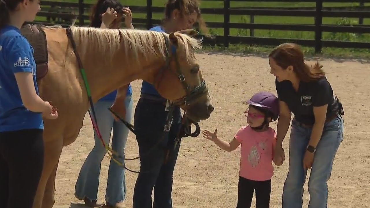 Using 'horsepower' to help those with cognitive challenges