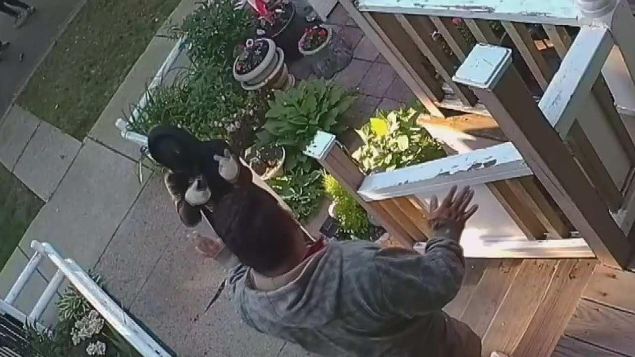 Victim speaks after horrific gunpoint robbery