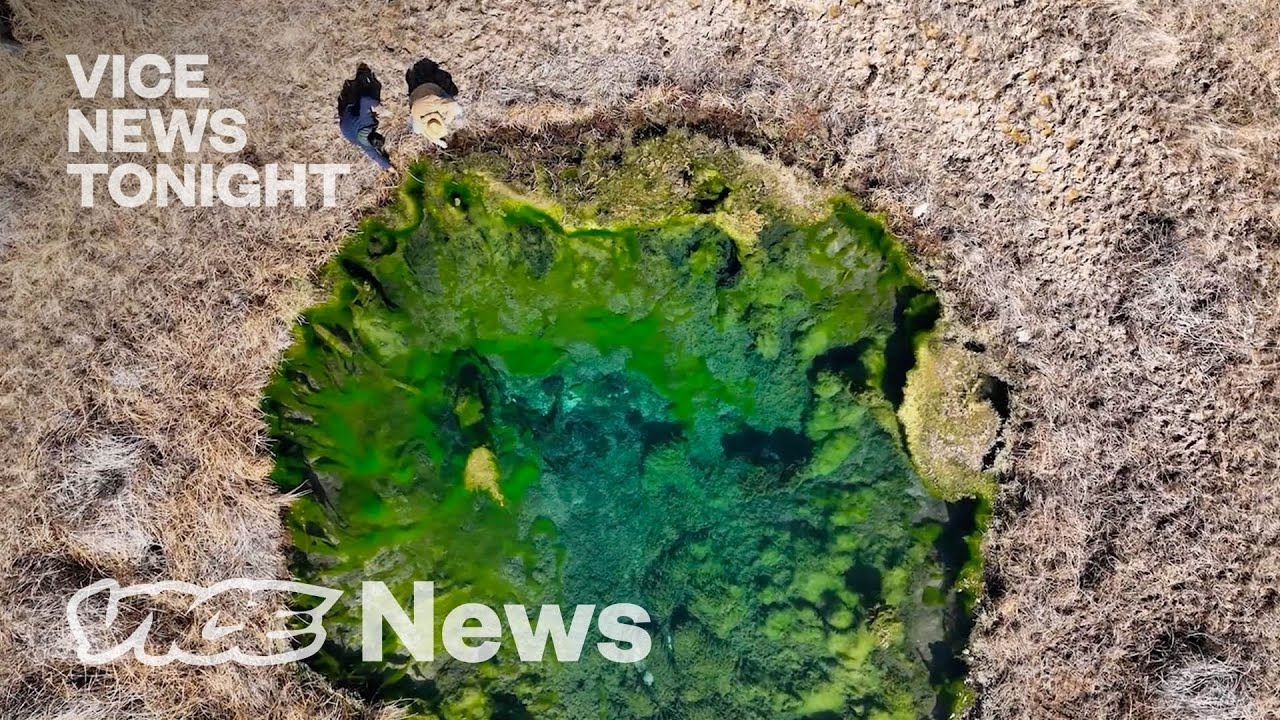 People Are Trying to Get Rich From a New Gold Rush