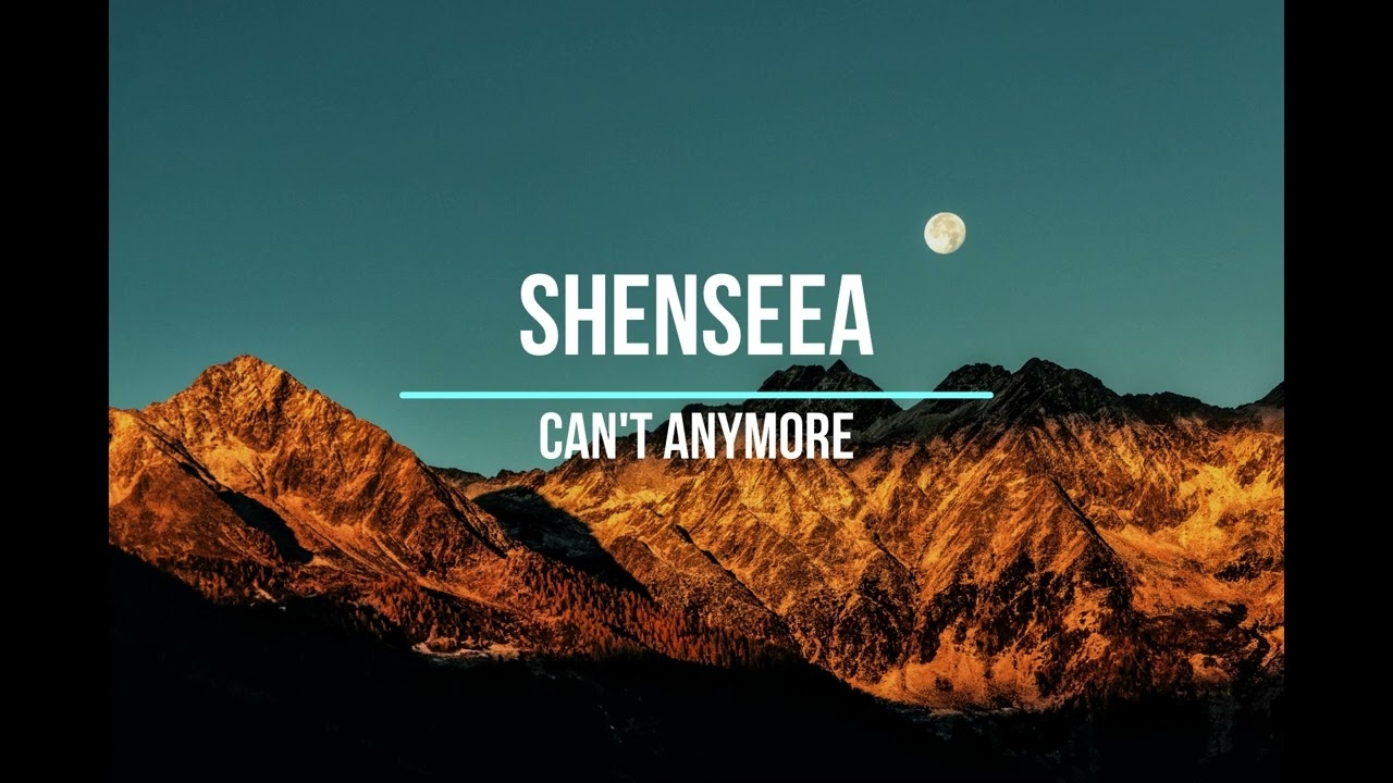 Shenseea Can't Anymore 1 hour loop