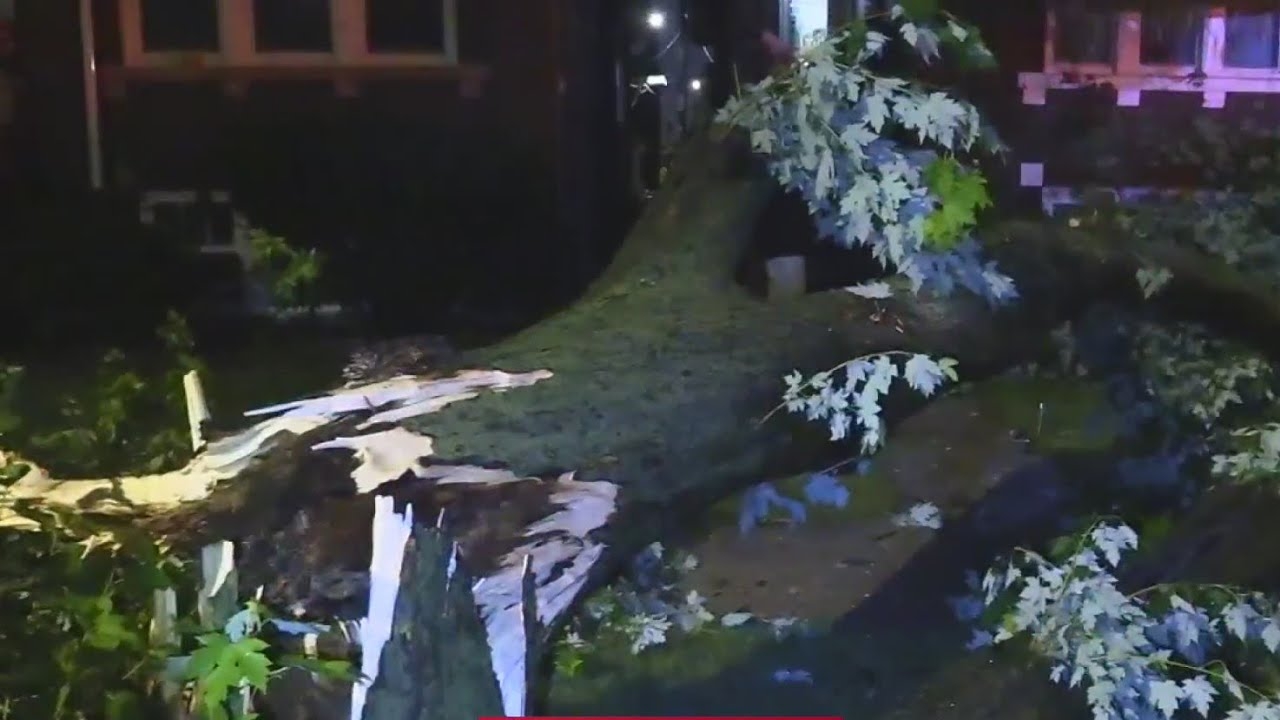 Strong storms leaves damage behind in Cicero