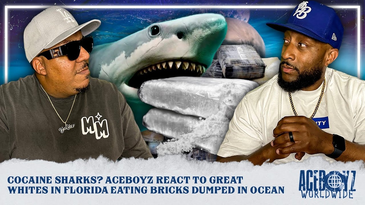Cocaine Sharks? AceBoyz React to Great Whites In Florida Eating Bricks Dumped in Ocean
