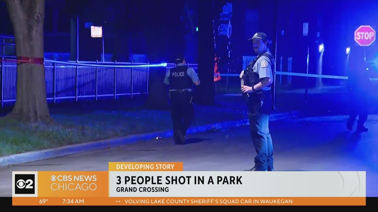 3 shot inside park in Grand Crossing