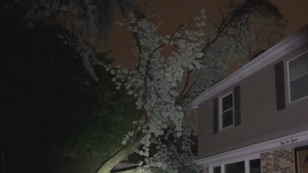 Overnight storms leaves damage, thousands without power