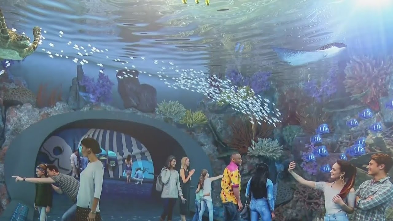 Shedd Aquarium unveils renderings for $500M improvements