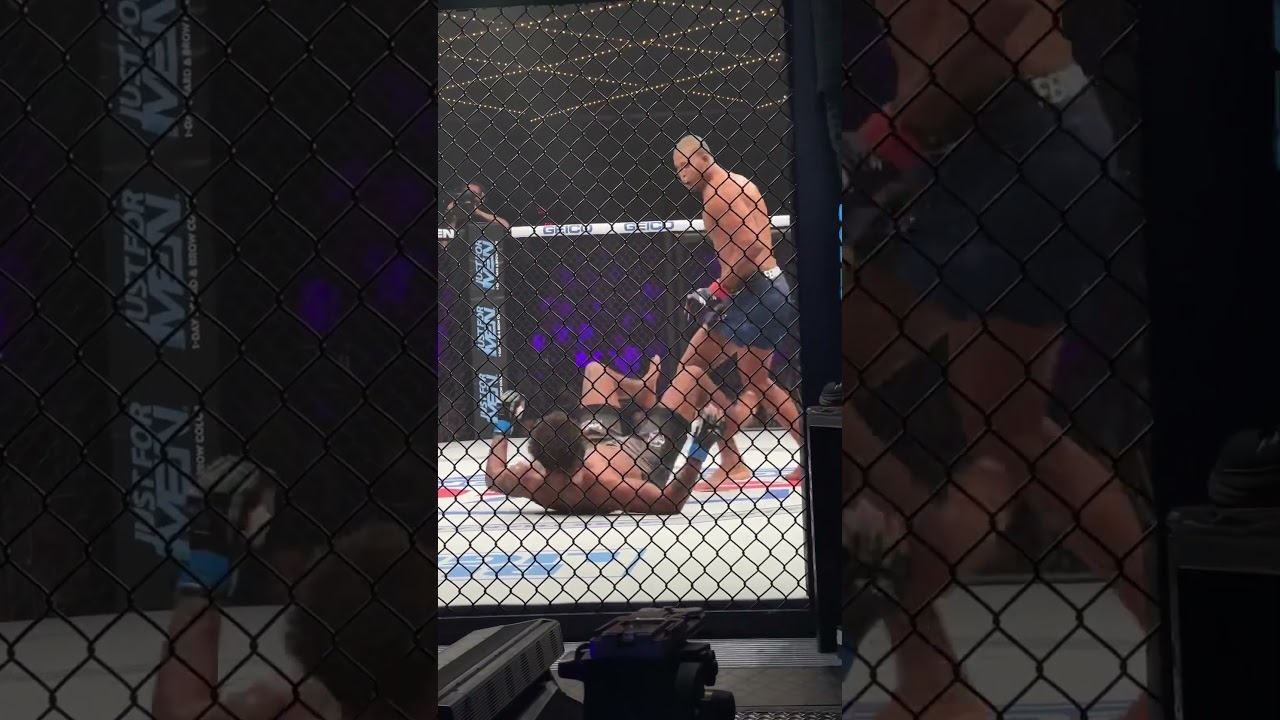 Brutal Knockout At Professional Fighters League