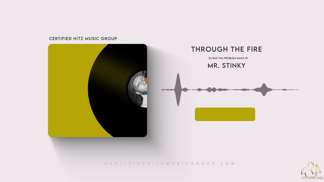 Mr. Stinky "Through The Fire" (DJ BAD THA PROBLEM Mash Up)