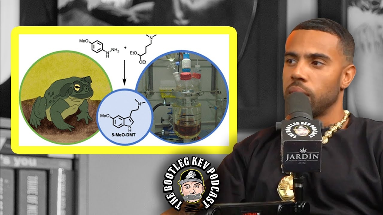Vic Mensa on DMT Trip Where His Grandmother Visited Him