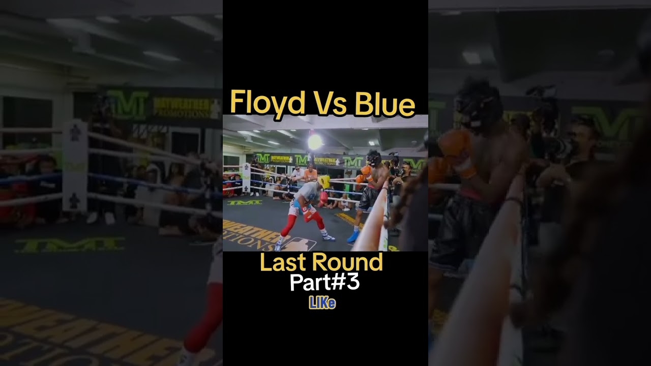 How Boxing Saved #chriseanrock #blueface #floydmayweather