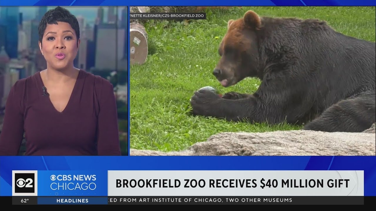 Brookfield Zoo receives $40M, largest single donation in its history