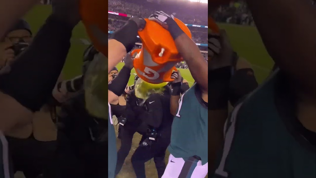 Gillie Celebrates With Birds On The Field