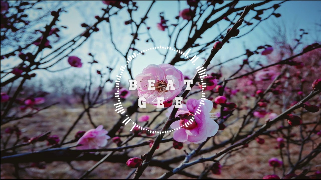 [ FREE ] Hip Hop / Rap Beat - "Blossom - Oldschool Instrumental 2020