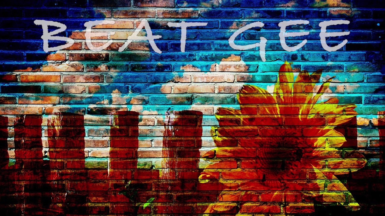 Hip Hop Instrumental - Beat Gee - Chill Vibe - No Type Beat
